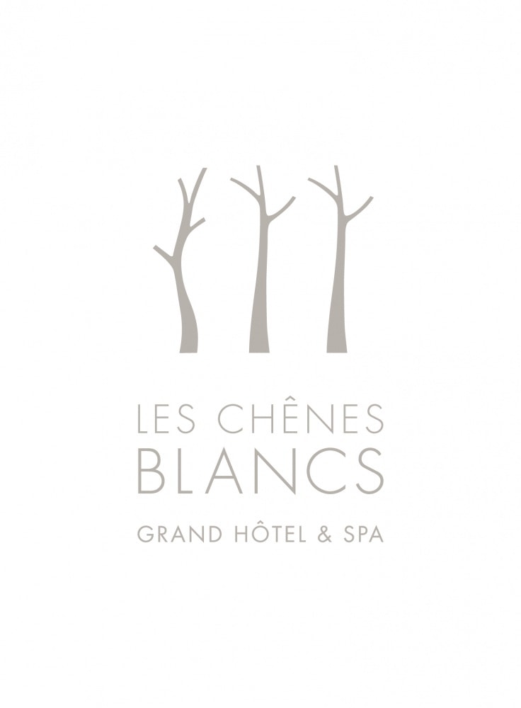 Logotype et design global